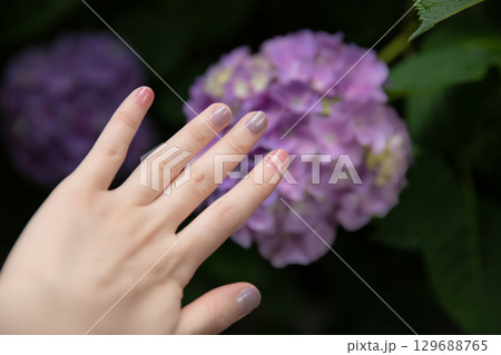 紫陽花とネイルと手 紫陽花とネイルと手 129688765