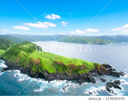 宮古崎 ササントウ（鹿児島県 奄美大島） 129689393