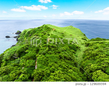 宮古崎 ササントウ（鹿児島県 奄美大島） 129689394