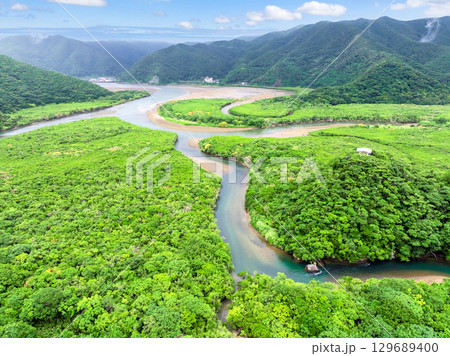 住用川マングローブ原生林(鹿児島県 奄美大島) 住用川マングローブ原生林(鹿児島県 奄美大島) 129689400