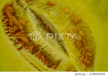 Cut in half cantaloupe melon isolated on white background 129689405