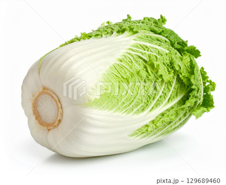 秋の収穫野菜（白菜,ハクサイ） 129689460