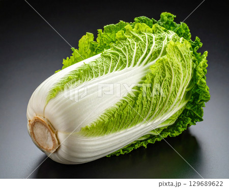 秋の収穫野菜（白菜,ハクサイ） 129689622