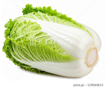 秋の収穫野菜（白菜,ハクサイ） 129689623