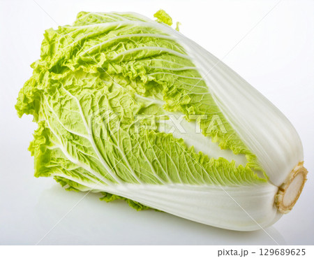 秋の収穫野菜（白菜,ハクサイ） 129689625