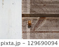 家の木の壁に残った蝉の抜け殻 129690094