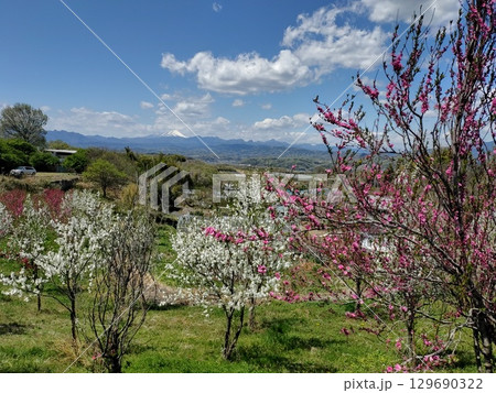 群馬県高崎市「鼻高展望花の丘」からの風景 129690322