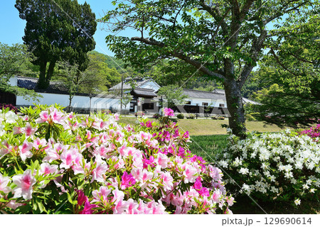 山口県　岩国市　錦帯橋　吉香公園 129690614