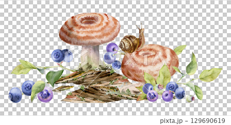 Lactarius milk-cap russula striped mushroom, snail on cap, blueberry blackberry berries on bark with moss lichen growth. Nature illustration hand drawn in watercolor. Autumn forest floor ecosystem Lactarius milk-cap russula striped mushroom, snail on cap, blueberry blackberry berries on bark with moss lichen growth. Nature illustration hand drawn in watercolor. Autumn forest floor ecosystem 129690619