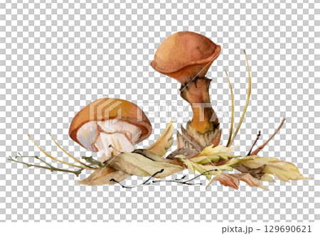 Suillus larch bolete slippery jack mushroom fungus, on top of fallen autumn leaves with twigs needles. Hand drawn watercolor Illustration. Autumn forest floor natural habitat. Books calendars posters 129690621