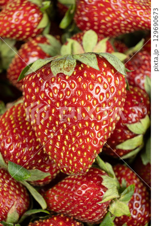 Ripe fresh strawberry macro, clear grains, vertical fruit berry background Ripe fresh strawberry macro, clear grains, vertical fruit berry background 129690673