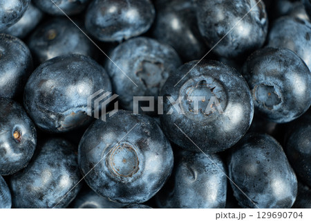 Whole Fresh Blueberries in Pile. Juicy Summer Fruit Texture Whole Fresh Blueberries in Pile. Juicy Summer Fruit Texture 129690704