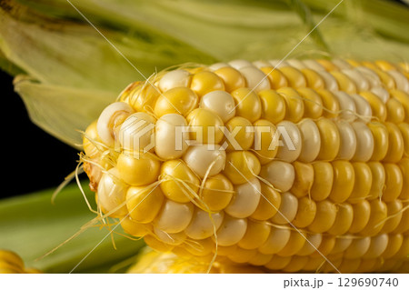 Macro photography of fresh raw corn cobs with green husks. Macro photography of fresh raw corn cobs with green husks. 129690740