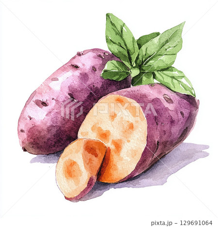 Watercolor yellow potato on white background. Picture for a restaurant or cafe Watercolor yellow potato on white background. Picture for a restaurant or cafe 129691064