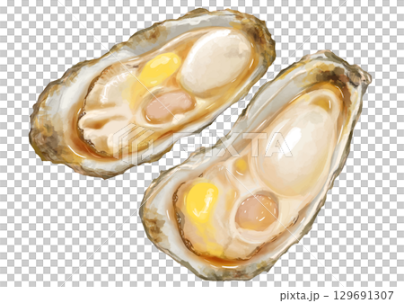 冬天來了！寫實烤牡蠣（奶油和醬油）插畫 129691307