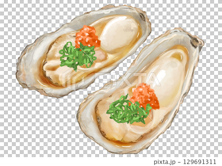 冬天來了！寫實牡蠣插畫（楓葉和蔥） 129691311
