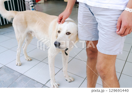 Man is petting a dog 129691440