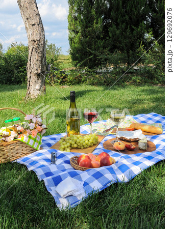 Picnic on the green lawn 129692076