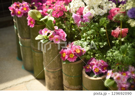 竹に植えられた鮮やかな花 129692090