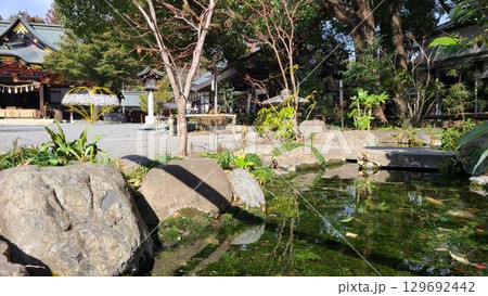 寺の庭 寺の庭 129692442