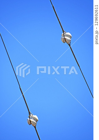 電気設備(玉碍子) 電気設備(玉碍子) 129692611