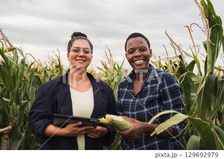 Agronomist and farmer inspecting corn crop with digital tablet 129692979