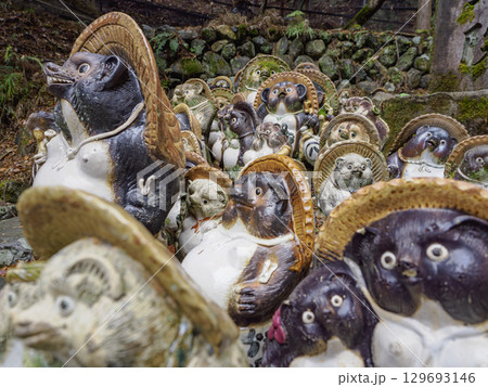 ずらり勢ぞろい！狸たちの行進 129693146