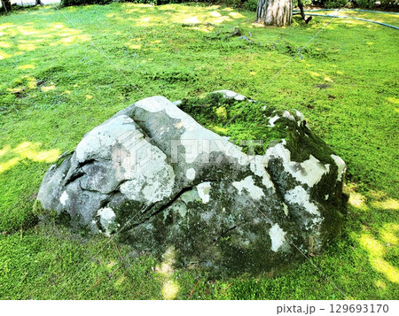 日本庭園の苔むす石 129693170