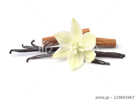 Vanilla pods with vanilla flower on white backgrounds Vanilla pods with vanilla flower on white backgrounds 129693867