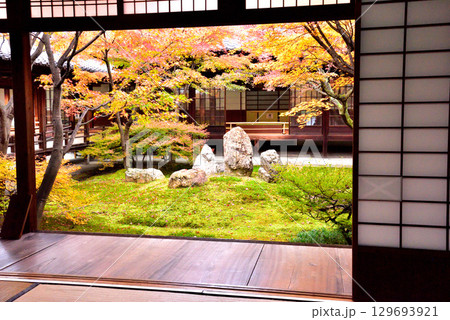 建仁寺 本坊中庭にある潮音庭の紅葉 129693921