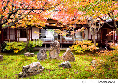 建仁寺 本坊中庭にある潮音庭の紅葉 建仁寺 本坊中庭にある潮音庭の紅葉 129693928