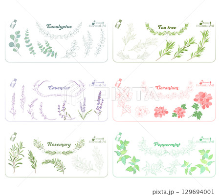 ユーカリ、ラベンダー、ローズマリー、ティーツリー、ゼラニウム、ペパーミント精油のイラスト ユーカリ、ラベンダー、ローズマリー、ティーツリー、ゼラニウム、ペパーミント精油のイラスト 129694001