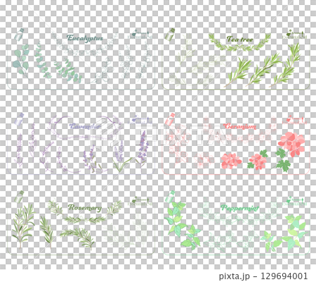 ユーカリ、ラベンダー、ローズマリー、ティーツリー、ゼラニウム、ペパーミント精油のイラスト ユーカリ、ラベンダー、ローズマリー、ティーツリー、ゼラニウム、ペパーミント精油のイラスト 129694001