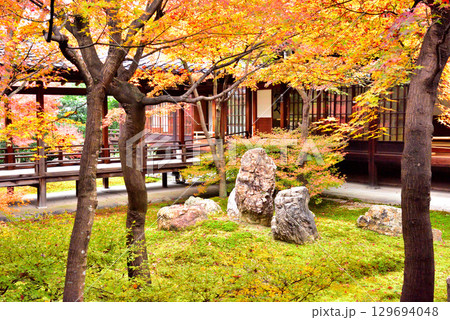 建仁寺 本坊中庭にある潮音庭の紅葉 129694048