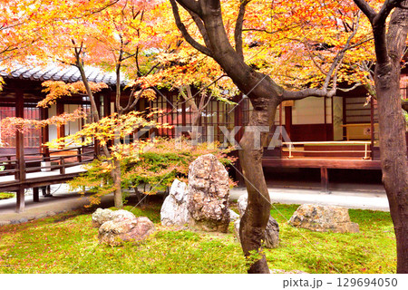 建仁寺 本坊中庭にある潮音庭の紅葉 129694050