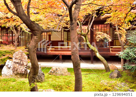 建仁寺 本坊中庭にある潮音庭の紅葉 129694051
