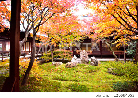 建仁寺 本坊中庭にある潮音庭の紅葉 129694053