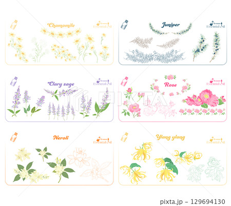 カモミール、クラリセージ、ネロリ、ジュニパー、ローズ、イランイラン精油のイラスト 129694130
