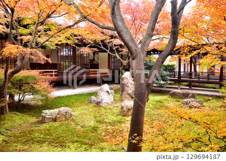 建仁寺 本坊中庭にある潮音庭の紅葉 建仁寺 本坊中庭にある潮音庭の紅葉 129694187