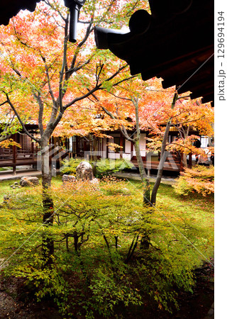 建仁寺 本坊中庭にある潮音庭の紅葉 建仁寺 本坊中庭にある潮音庭の紅葉 129694194