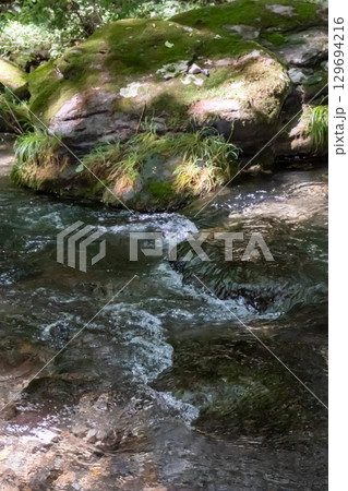 栃木県那須乙女の滝周辺の木に囲まれた清流の流れ 栃木県那須乙女の滝周辺の木に囲まれた清流の流れ 129694216