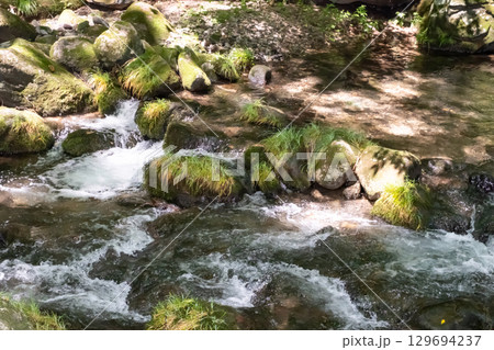 栃木県那須乙女の滝周辺の木に囲まれた清流の流れ 129694237
