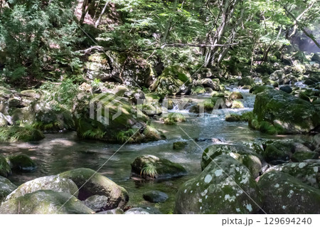 栃木県那須乙女の滝周辺の木に囲まれた清流の流れ 129694240