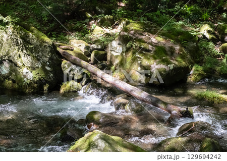栃木県那須乙女の滝周辺の木に囲まれた清流の流れ 129694242