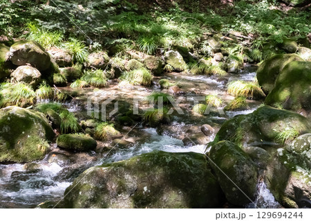栃木県那須乙女の滝周辺の木に囲まれた清流の流れ 栃木県那須乙女の滝周辺の木に囲まれた清流の流れ 129694244