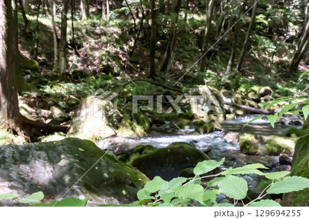 栃木県那須乙女の滝周辺の木に囲まれた清流の流れ 栃木県那須乙女の滝周辺の木に囲まれた清流の流れ 129694255