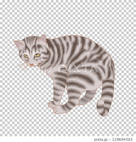 Cat Cat 129694383