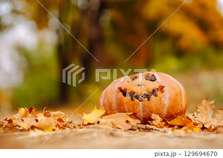 Traditional pumpkin as jack o'lantern, autumn fallen leaves lie on the park. Halloween greeting card Traditional pumpkin as jack o'lantern, autumn fallen leaves lie on the park. Halloween greeting card 129694670