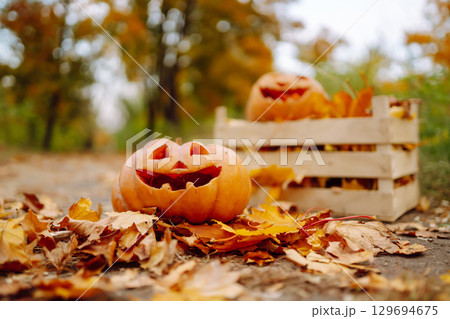 Traditional pumpkin as jack o'lantern, autumn fallen leaves lie on the park. Halloween greeting card Traditional pumpkin as jack o'lantern, autumn fallen leaves lie on the park. Halloween greeting card 129694675