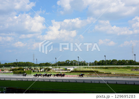 真夏の中京競馬場 真夏の中京競馬場 129695283